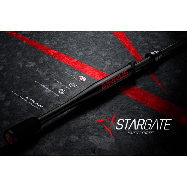 Modelo Airrus Stargate Casting